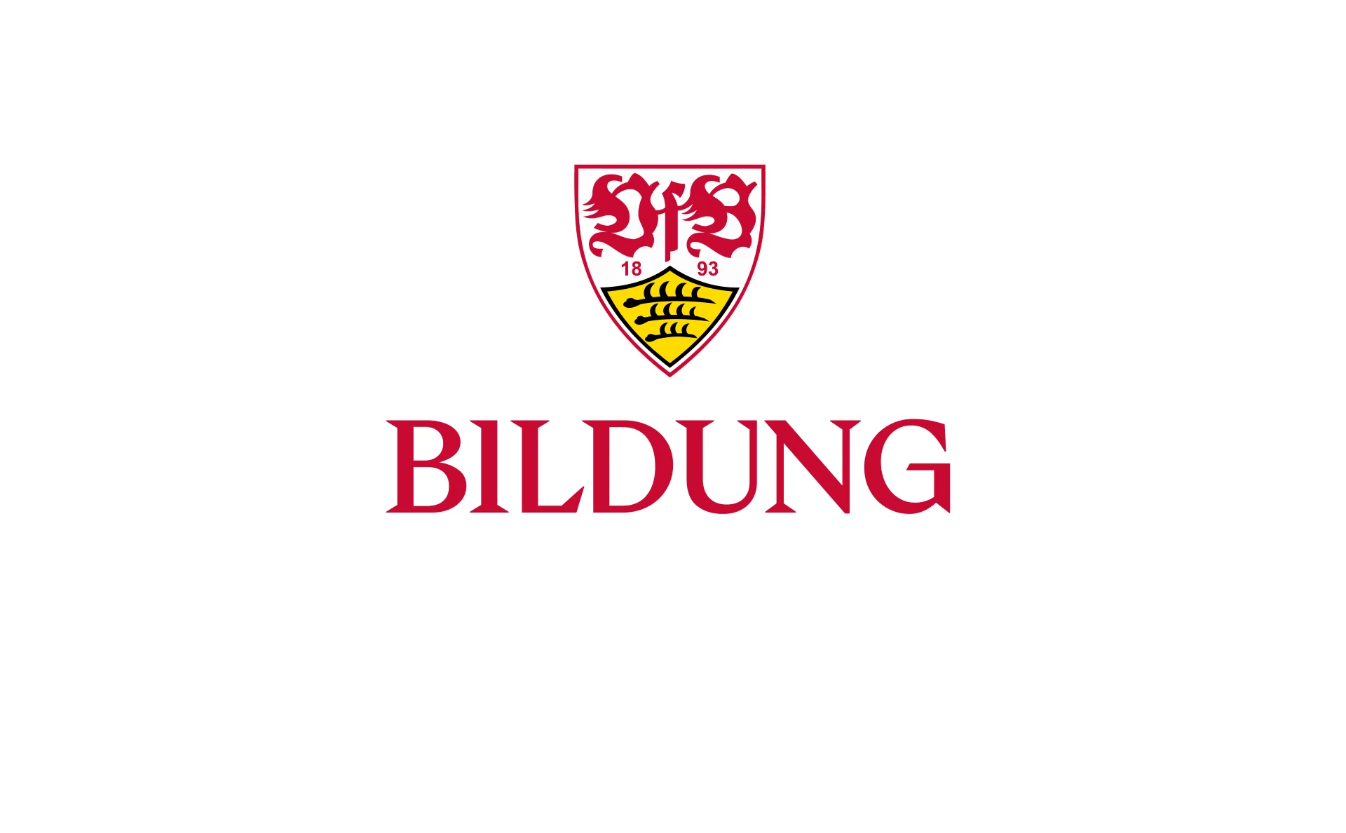 Kundenreferenz: Facilitator Workshop Partner des VfB Stuttgart